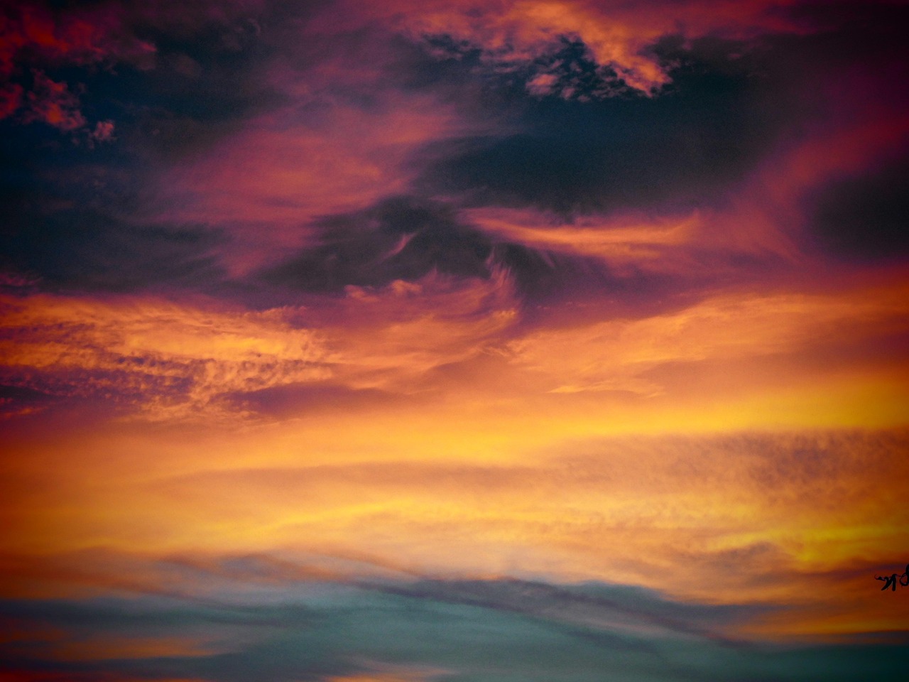 贴吧实名账号：伊人直播app详情下载教程网站