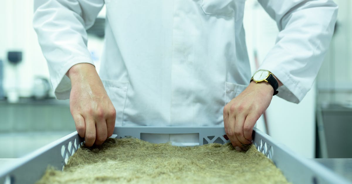 如何使用内容营销呈现优化SEO