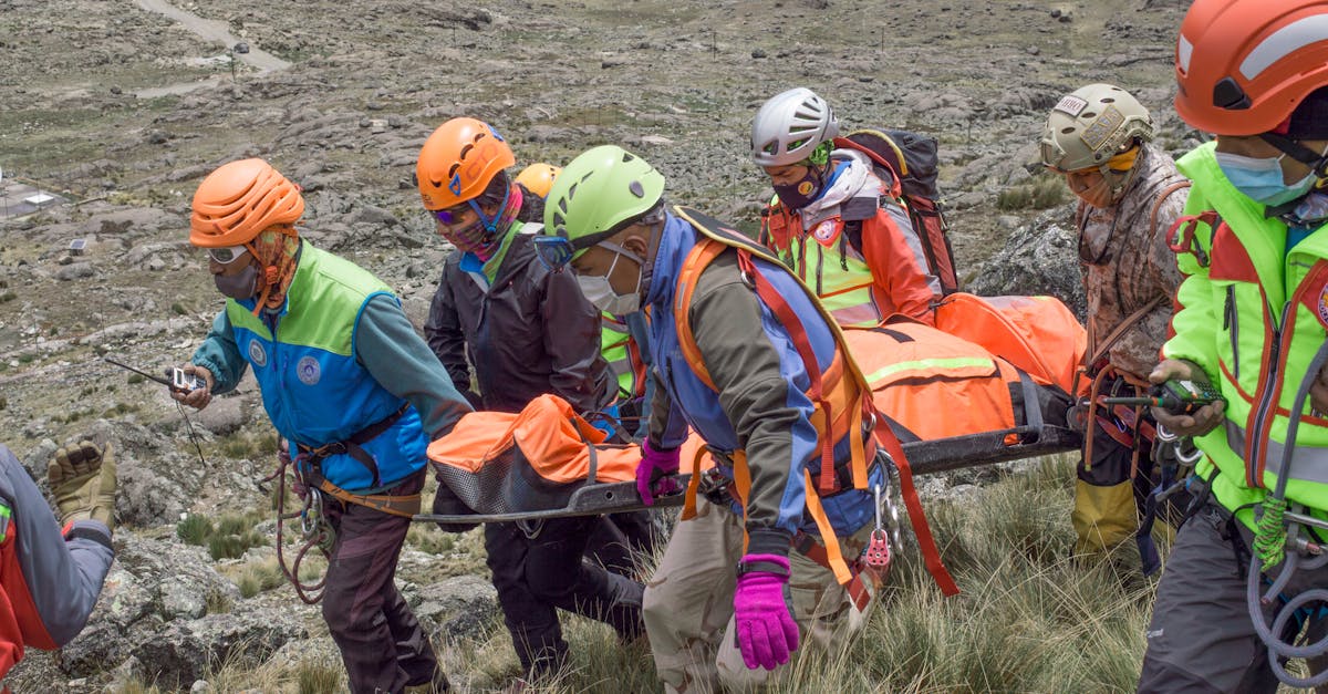无极温州进出口公司注册代理