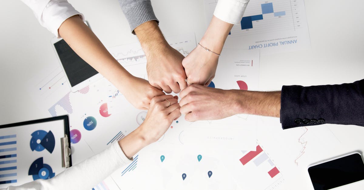 狂暴之翼辅助- 雏鸟app iOS详情下载教程