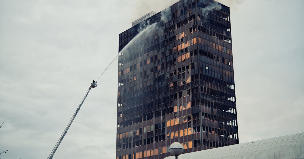 自然拼读app 详情下载教程