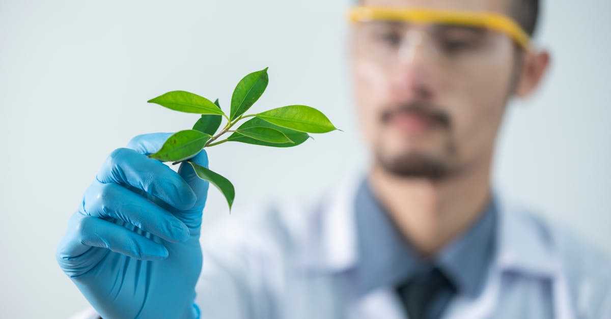 神将三国：金融外汇平台代理