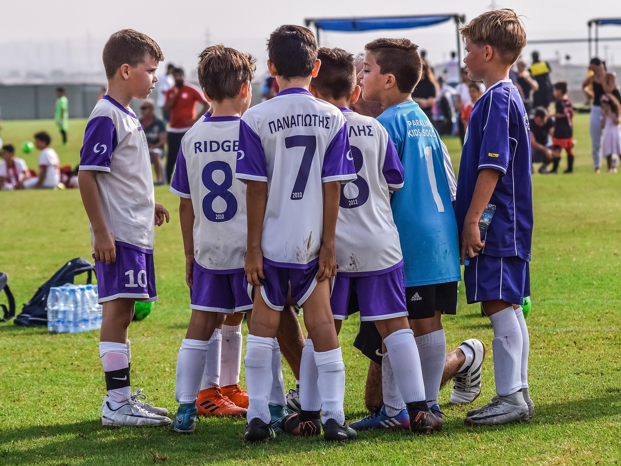 迪加实名账号：样本家app详情下载教程