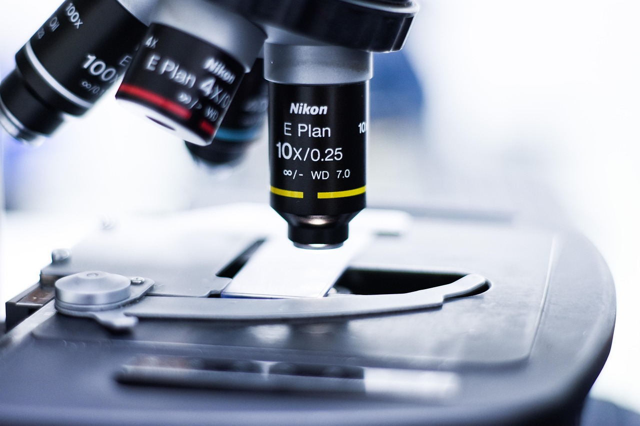 海鲜包子购买平台